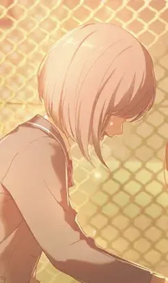 就算遍体鳞伤（花前）