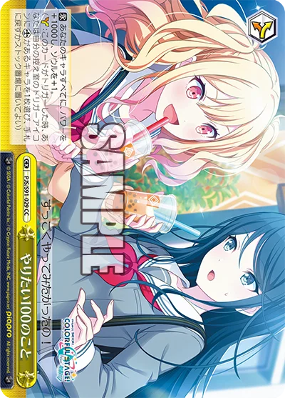 やりたい100のこと